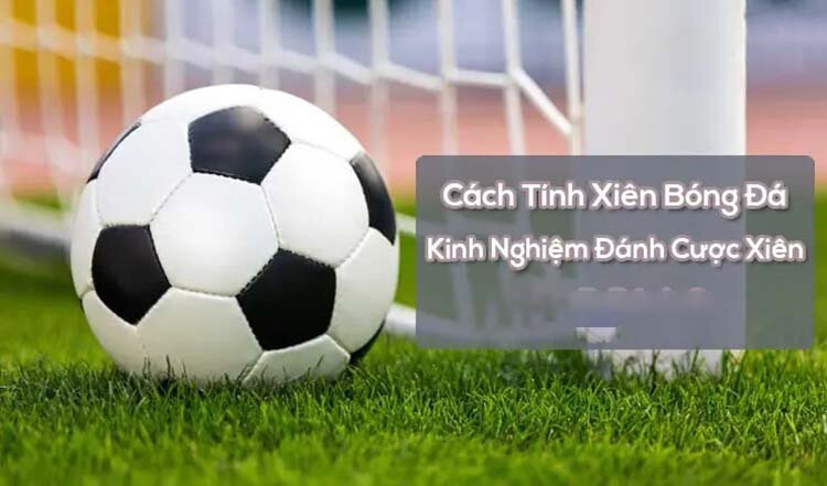 Cược xiên là gì? Và cách tính tỷ lệ cược xiên chính xác nhất hiện nay